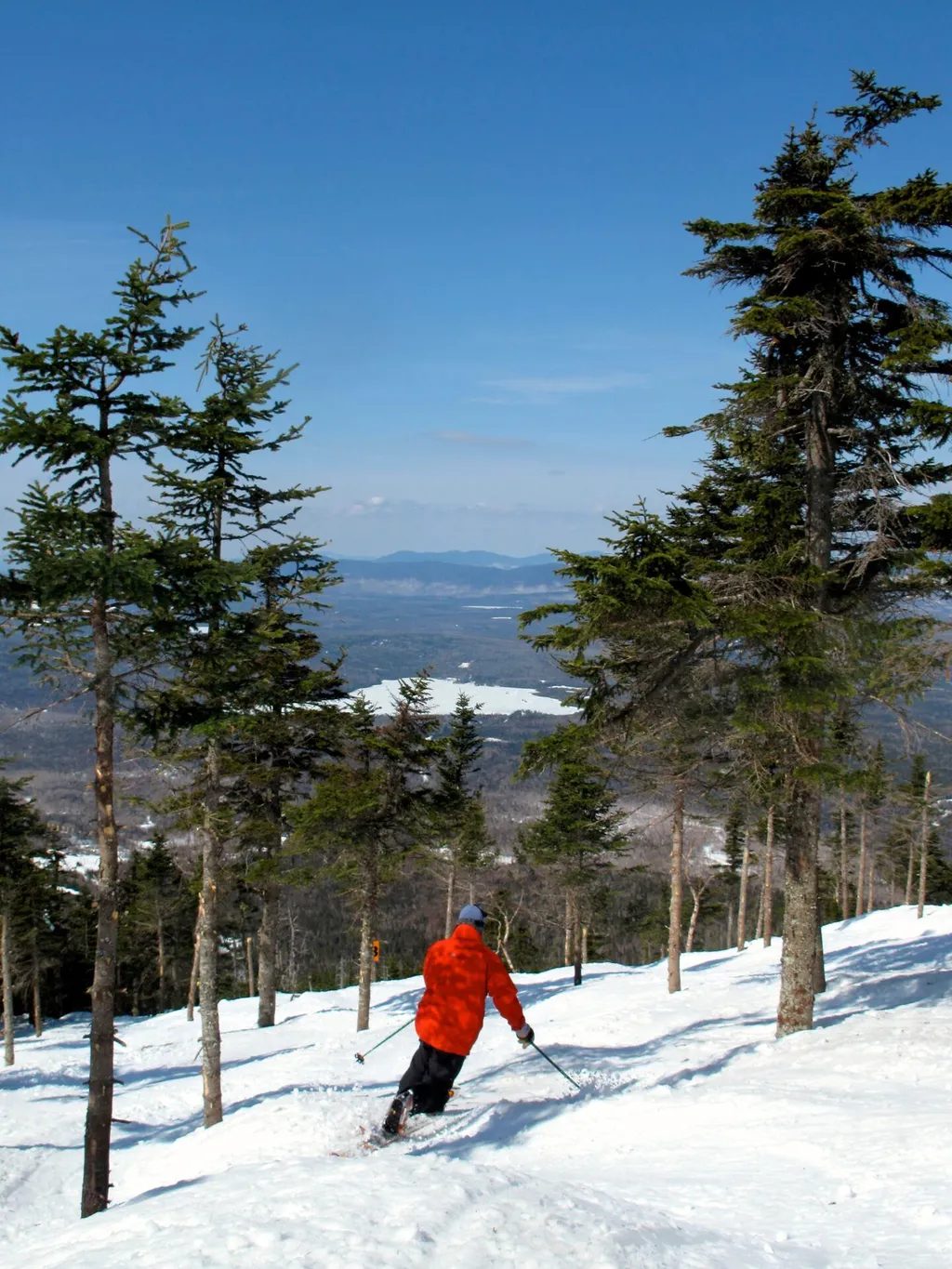 A skier in an orange jacket skiing down a snowy slope with trees.